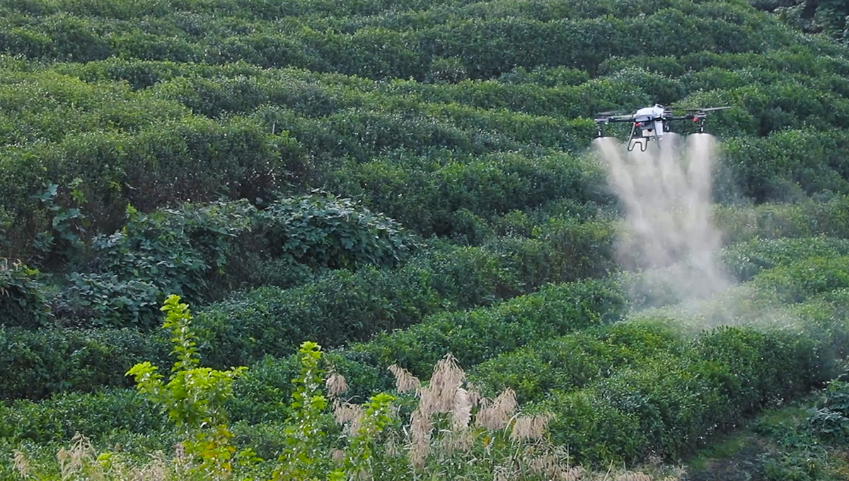 Achieve maximum spraying efficiency with the TopXGun FP500 Agriculture Drone equipped with two or four centrifugal nozzles. Its fine penetration and anti-drift features make it the first choice for the grain crop field. The atomization effect is amazing and the particle size is adjustable.