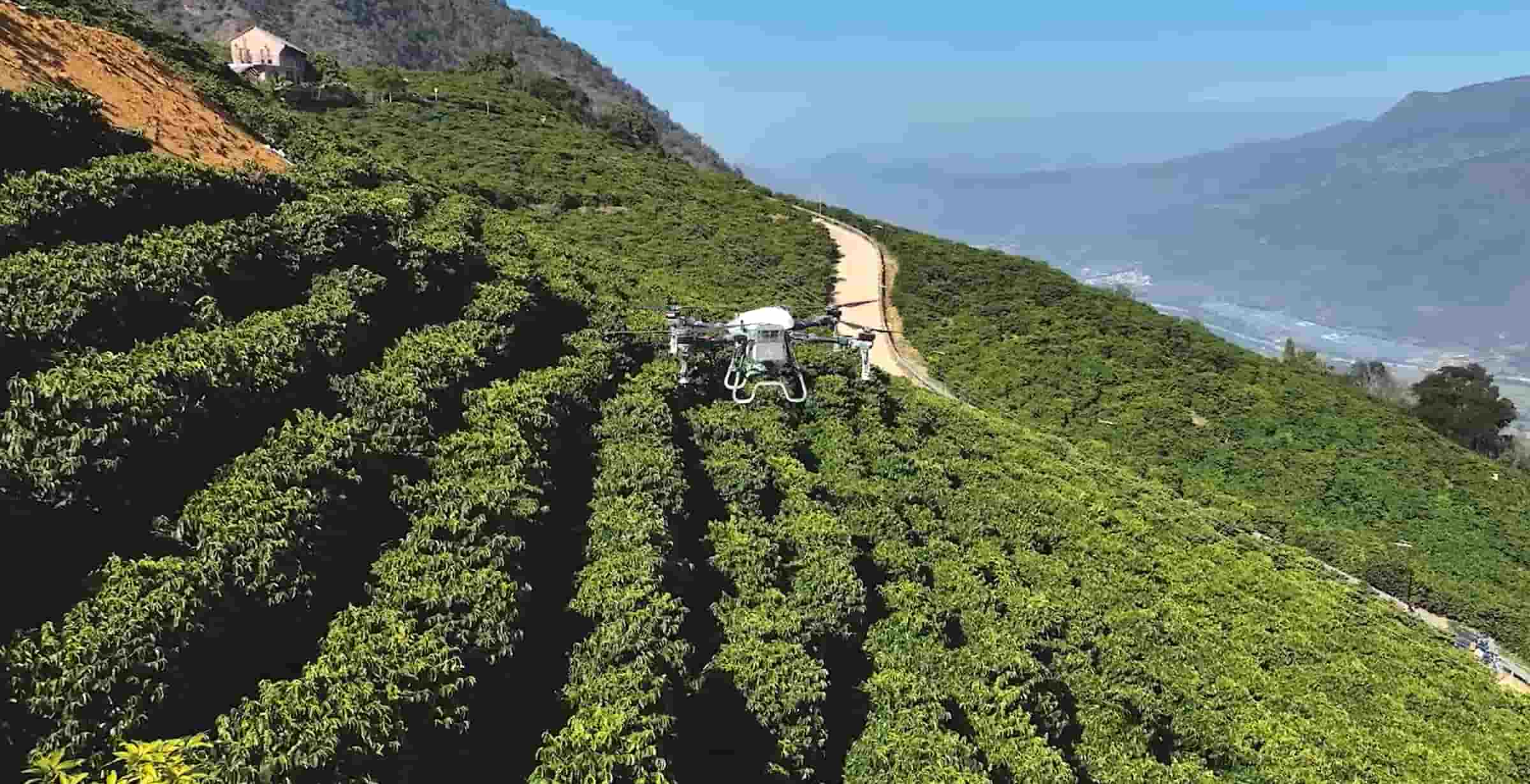 Exploring China's First Coffee Village with Topxgun FP600 Agricultural Drone