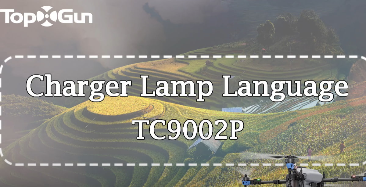 Tutorial de Topxgun | Señales luminosas comunes del cargador TC9002P y su tratamiento