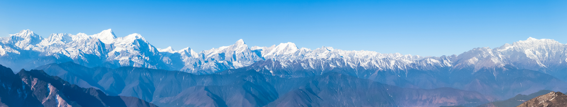 Banner de la página de historial